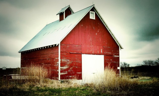 barn with grasses, spring