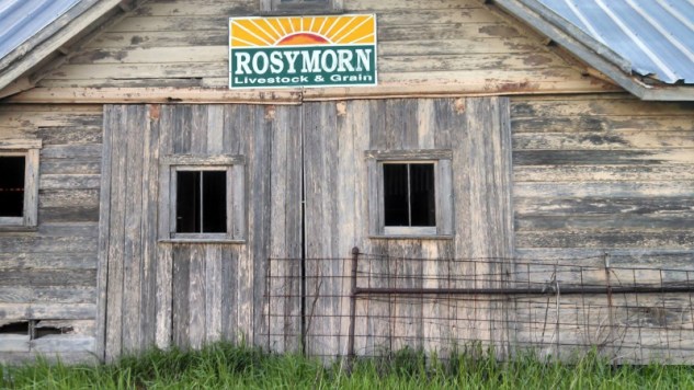 IMG_20130518_194342_423