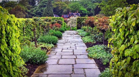 charter house rose herb garden