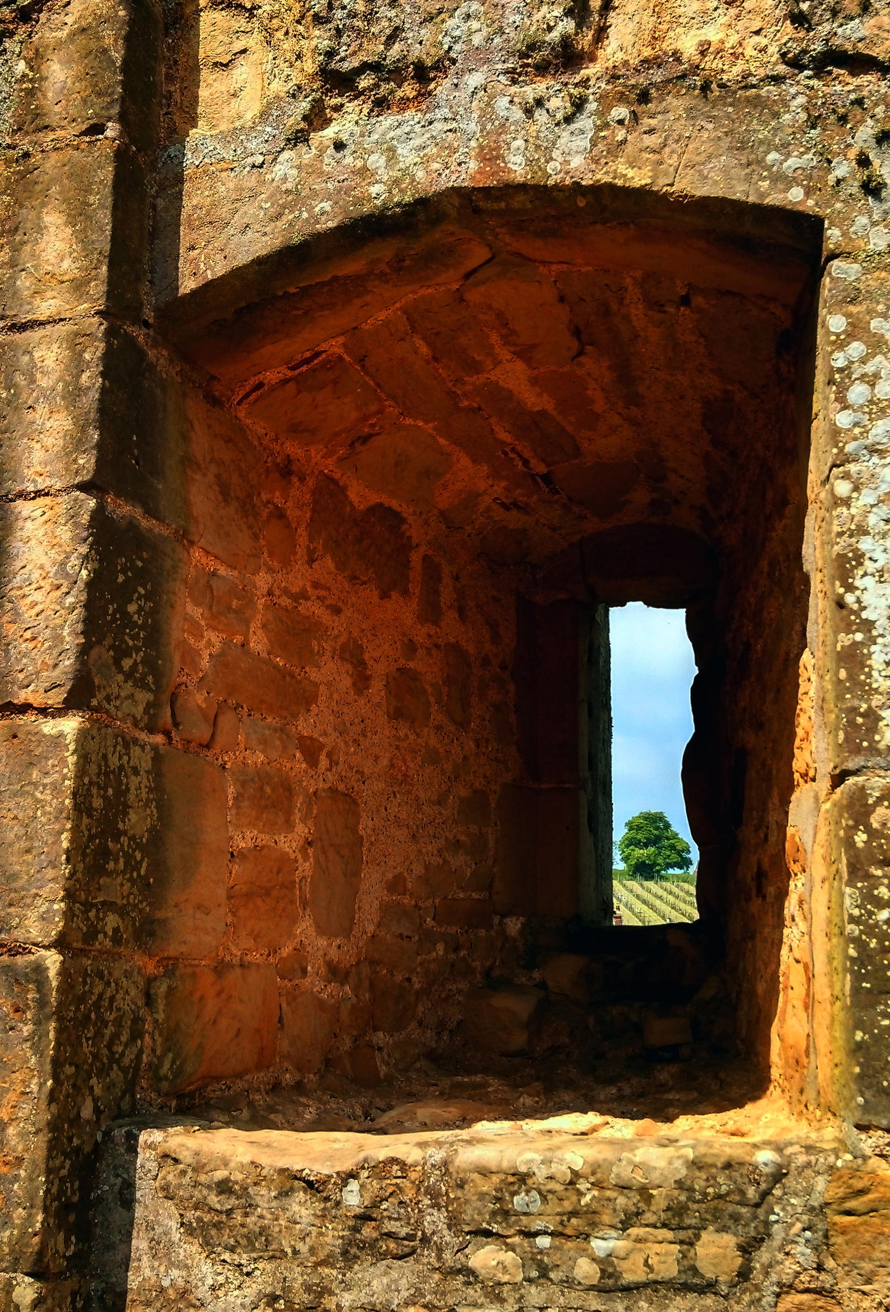 ?????????????????????