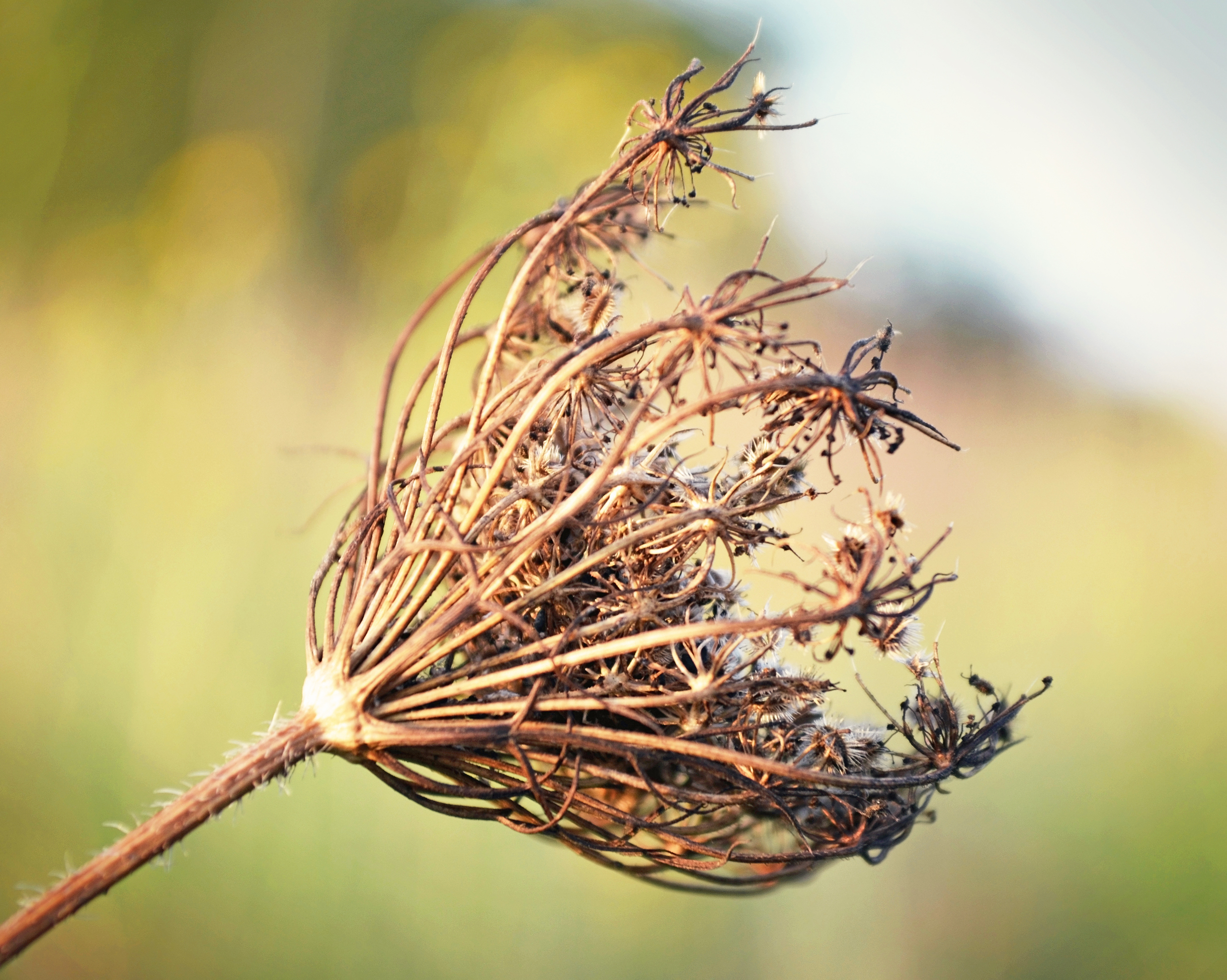 goodbye to all that 2