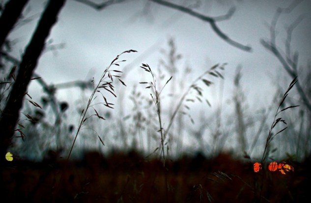 a minute from snow p