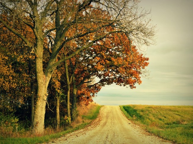 car wheels on a gravel road 2