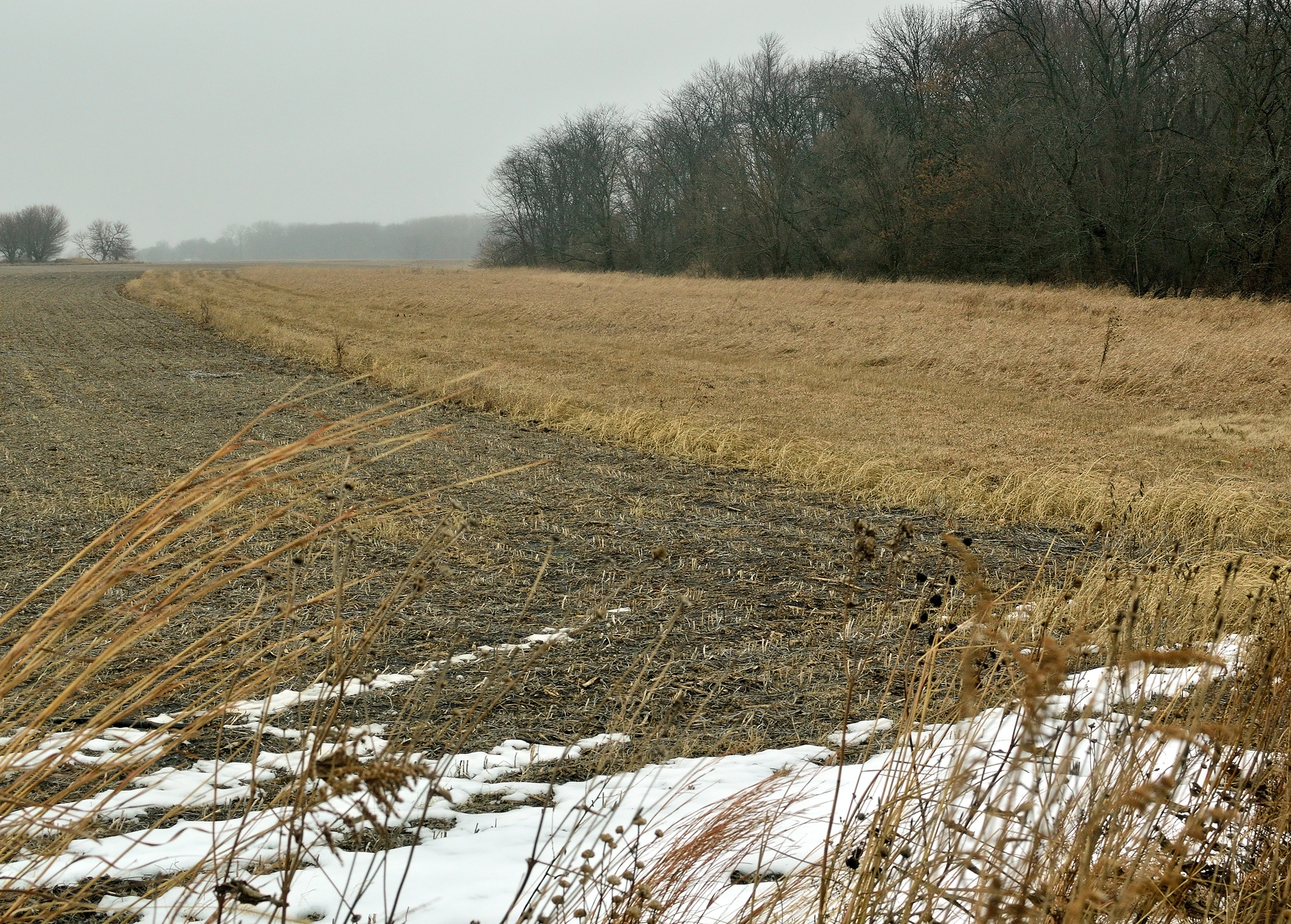 geography of january 2