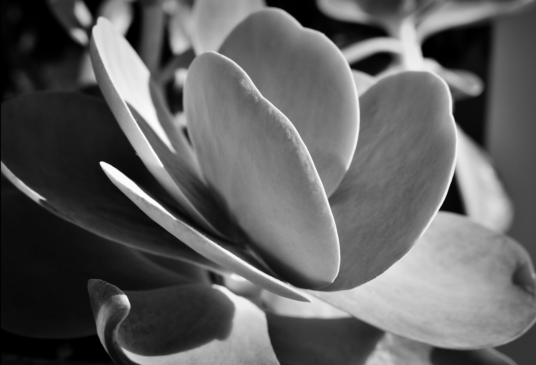 southern exposures 2