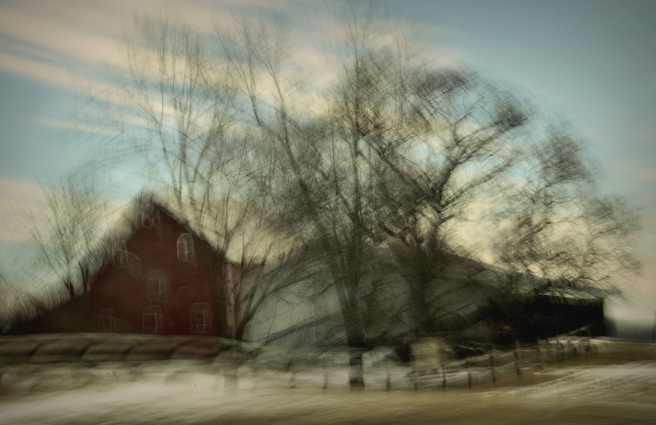 the ghosting of winter trees c2