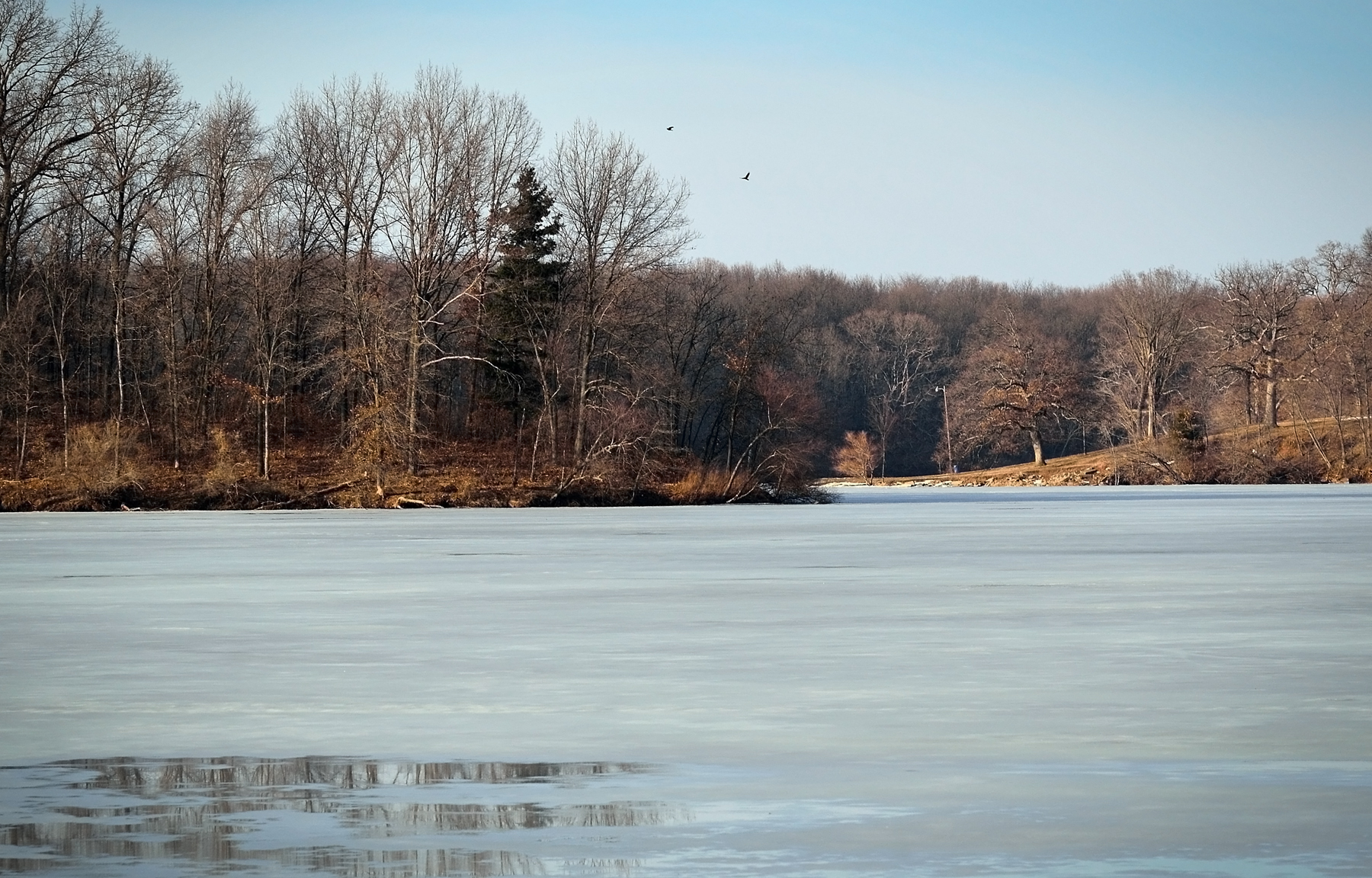 almost spring cropped 2