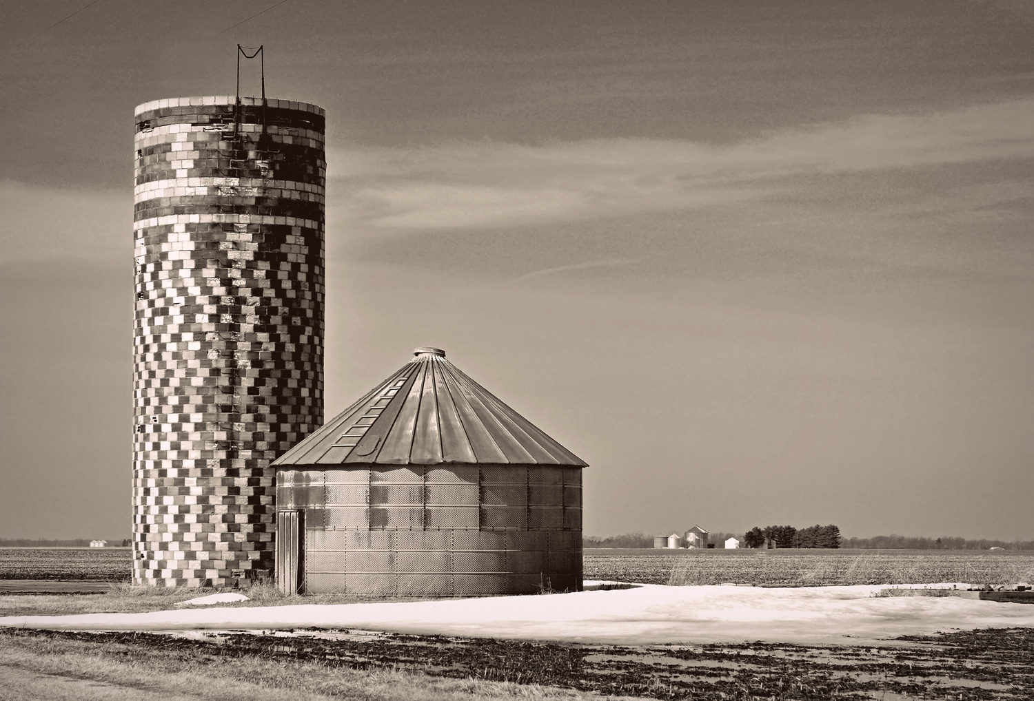 tile and tin mono p2 2