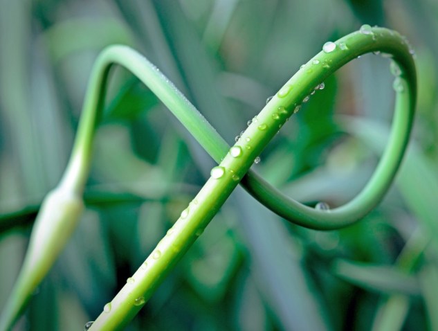 her perfect curves......2