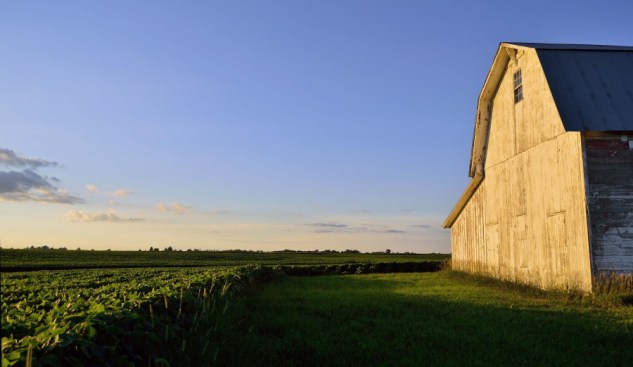beanfield and barn 2