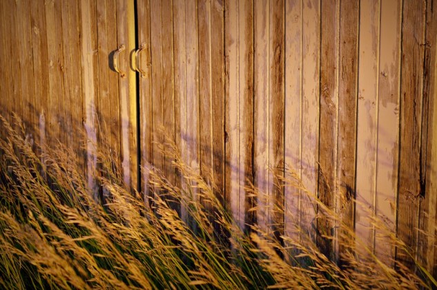 handles and grass p2