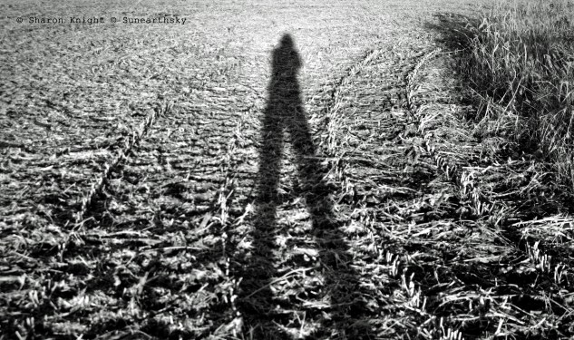 field portrait mono2