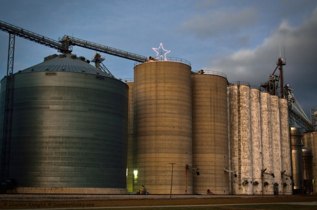 silk purse sow's ear 2