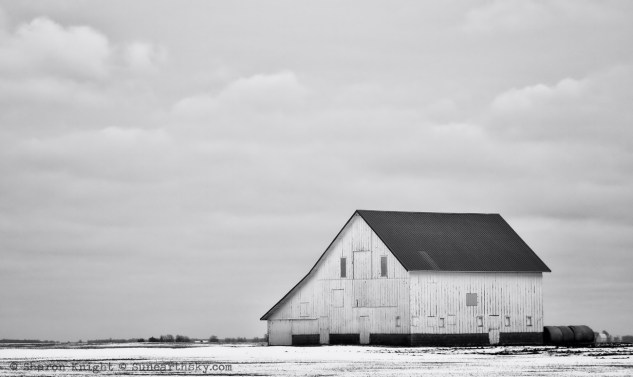 winter whites mono 2