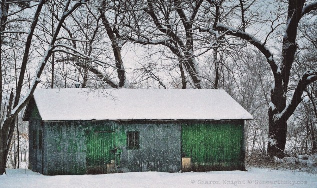green shed 2