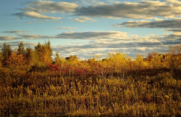prairie and sky 3