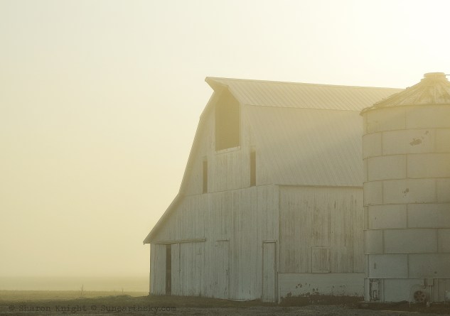white barn in fog 2