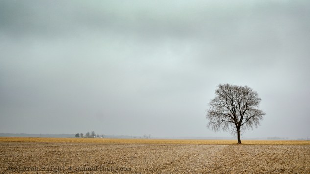 mississippi flatland 2