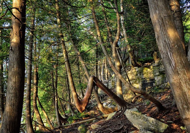 door county headlands bluff 1 2