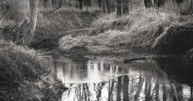 lamoine-river-north-fork-2