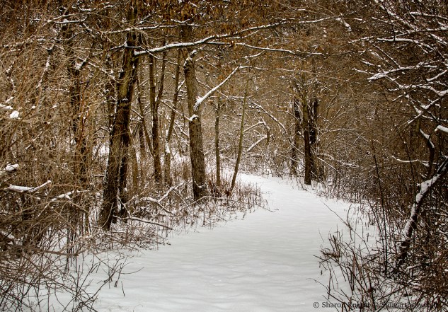 snowy-path-2