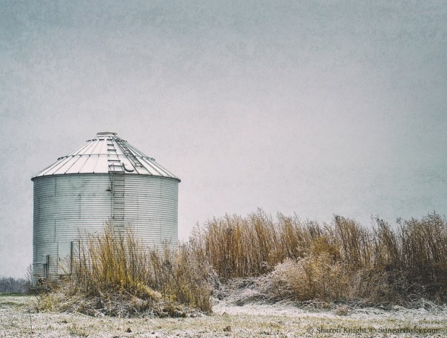 bin-and-grasses-in-snow-2